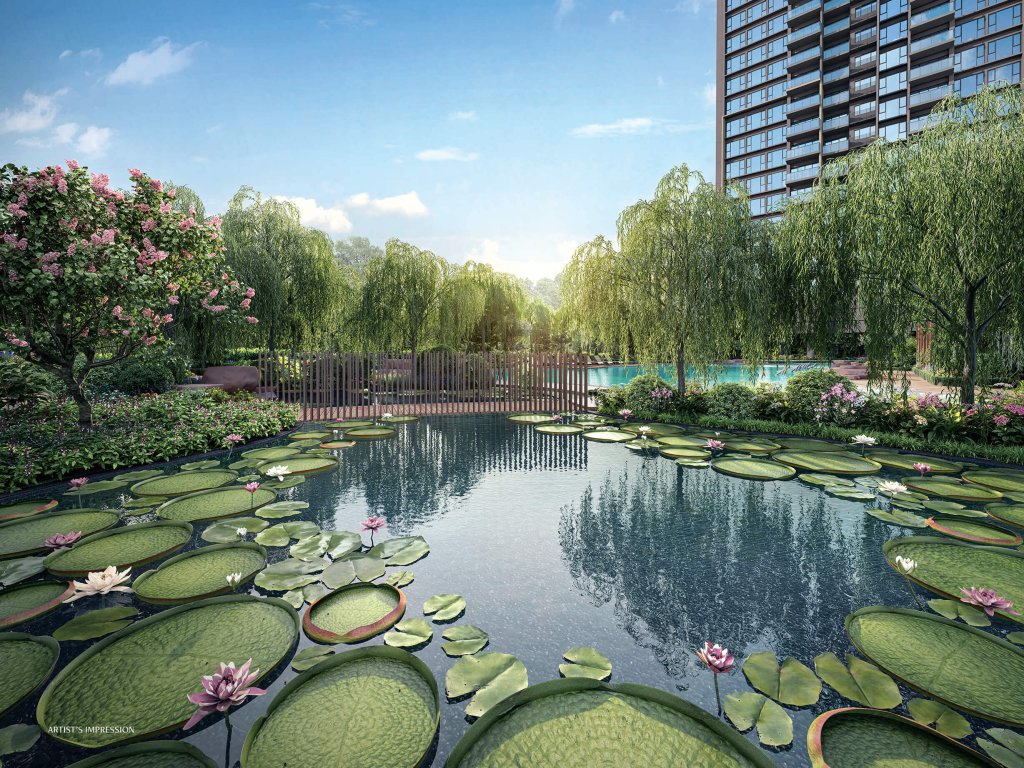 Penrith water Lily pond, Queenstown, Singapore