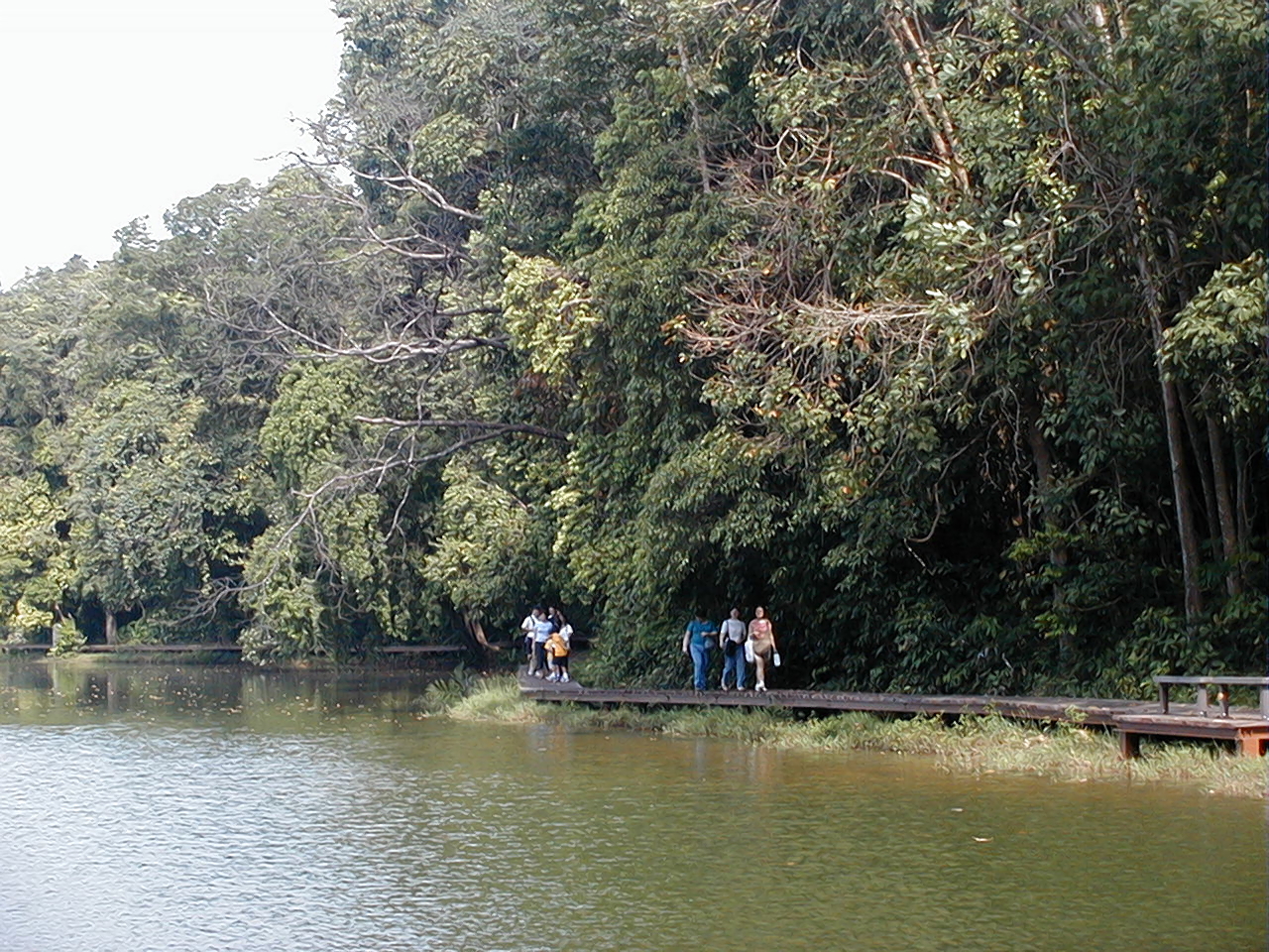 Boardwalk at MacRitchie Reservoir, Singapore
