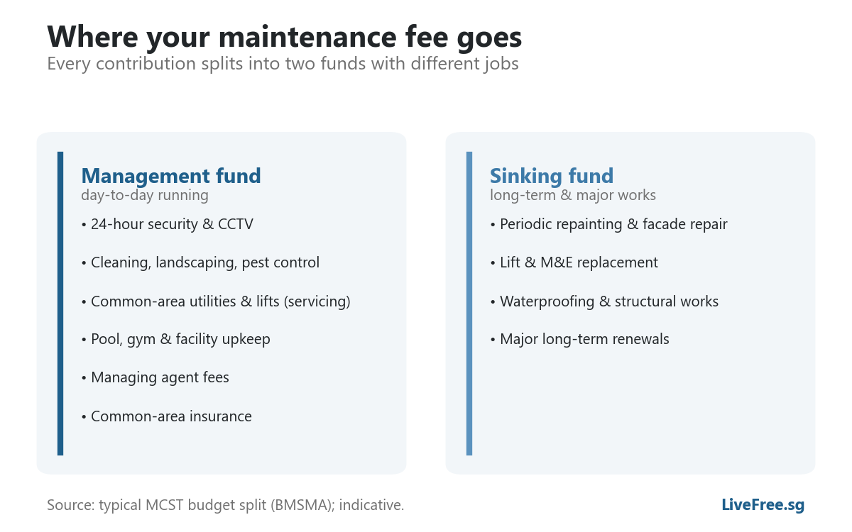 Infographic: management fund vs sinking fund in a condo maintenance budget