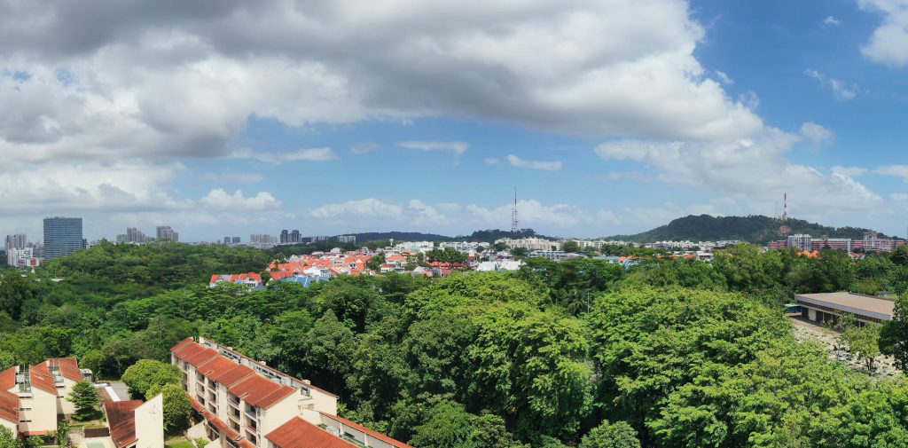 Ki Residences at Brookvale view north, Clementi, Singapore