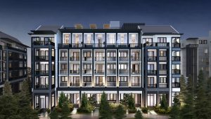Mayfair Gardens
