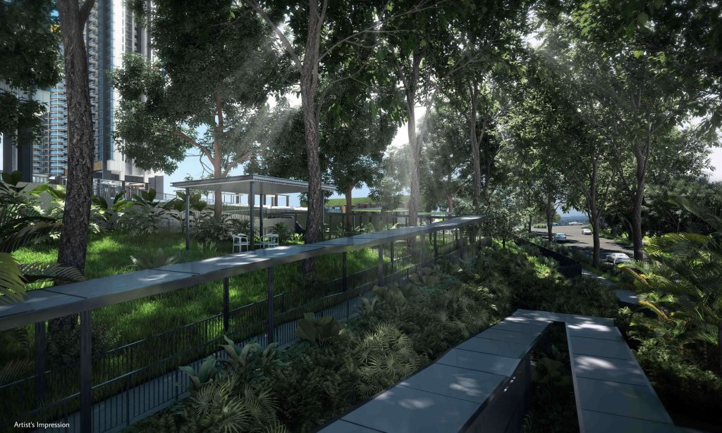 Normanton Park elevated boardwalk through the forest garden, Queenstown, Singapore