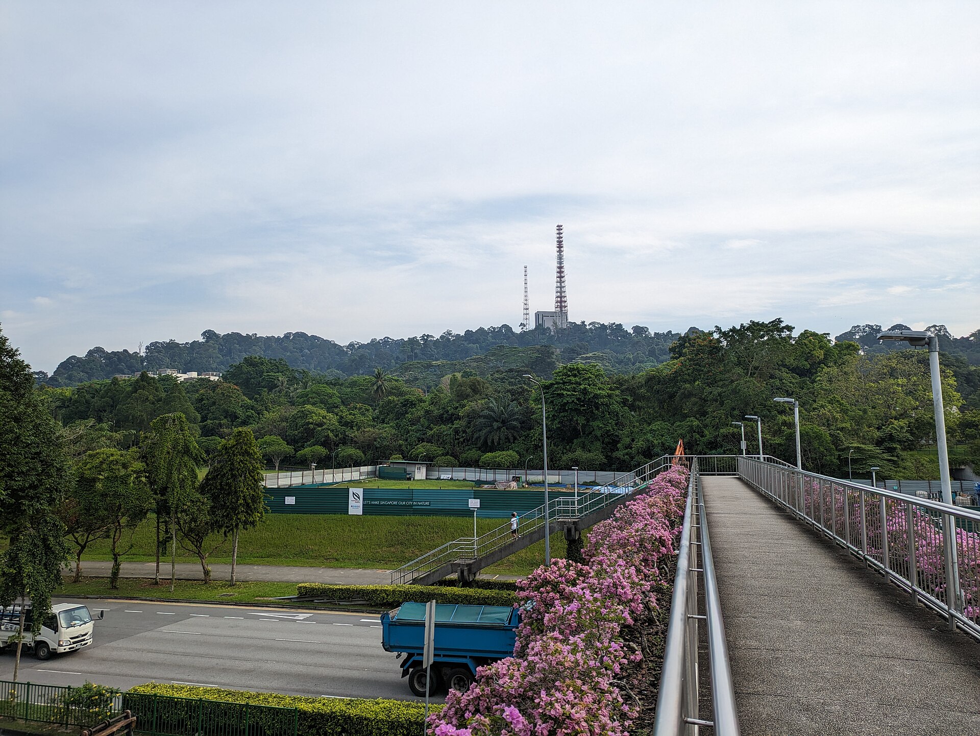 Rainforest canopy of Bukit Timah Nature Reserve rising above the low-rise condos of Upper Bukit Timah in District 21