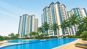 Palm Gardens